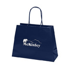 McKinley Reverse Trapezoid Eurotote Bag