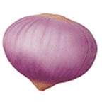 Onion Shaped Stress Reliever