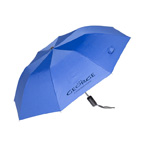 42 inch Auto Open Folding Umbrella